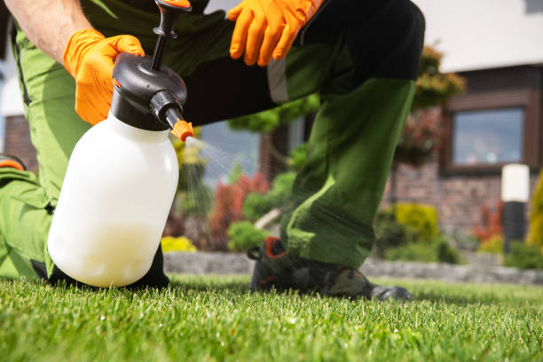 Best Local Pest Control Services  in Shadybrook, TX